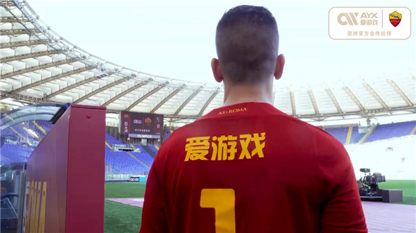 入来源