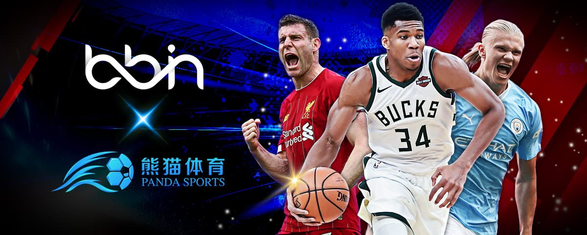 黎的合同细